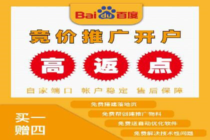 案例分享：百度竞价广告投放案例
